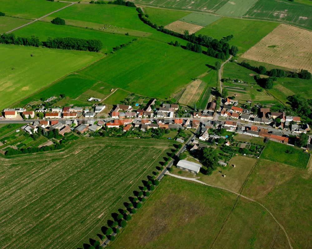 Luftbild Rosian - Dorfkern am Feldrand in Rosian im Bundesland Sachsen-Anhalt, Deutschland