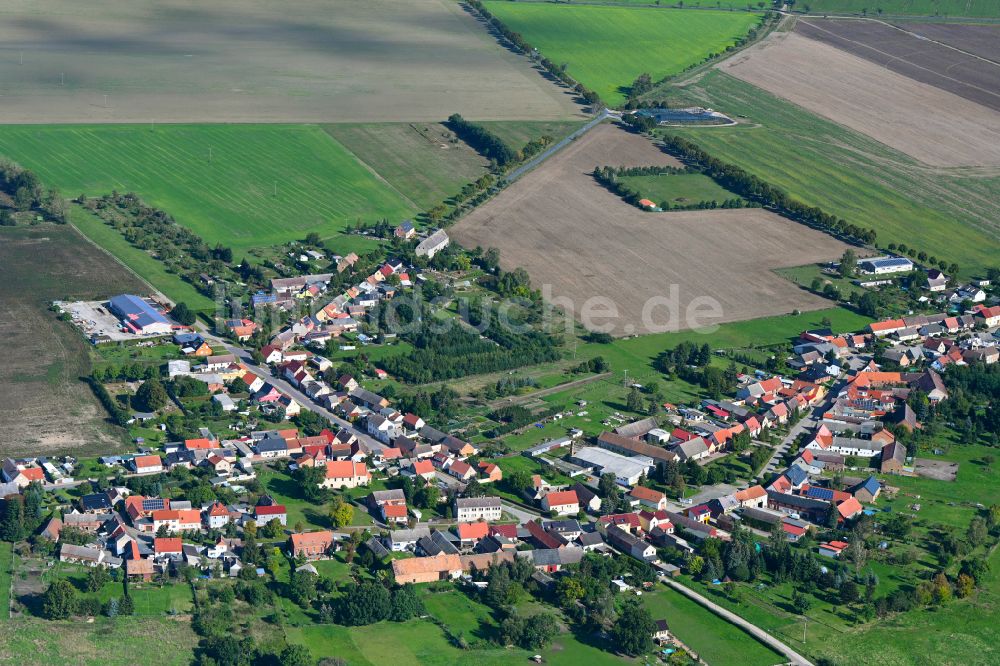 Rosian von oben - Dorfkern am Feldrand in Rosian im Bundesland Sachsen-Anhalt, Deutschland