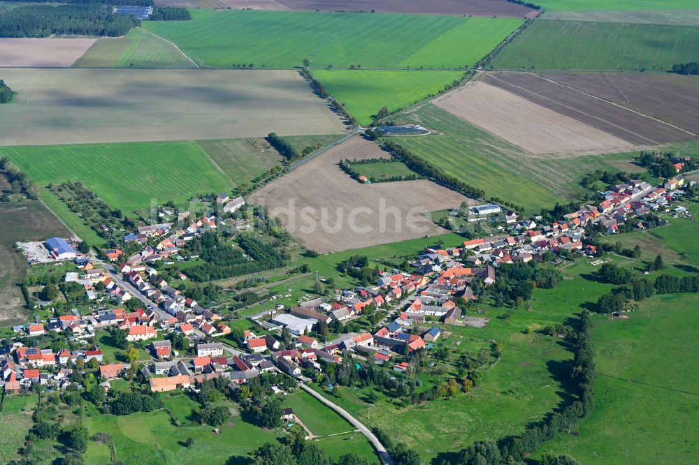 Rosian aus der Vogelperspektive: Dorfkern am Feldrand in Rosian im Bundesland Sachsen-Anhalt, Deutschland