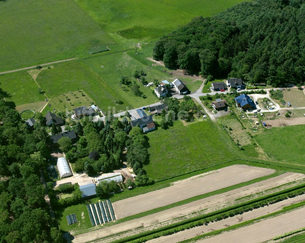 Luftbild Rothenbergerhof - Dorfkern am Feldrand in Rothenbergerhof im Bundesland Rheinland-Pfalz, Deutschland