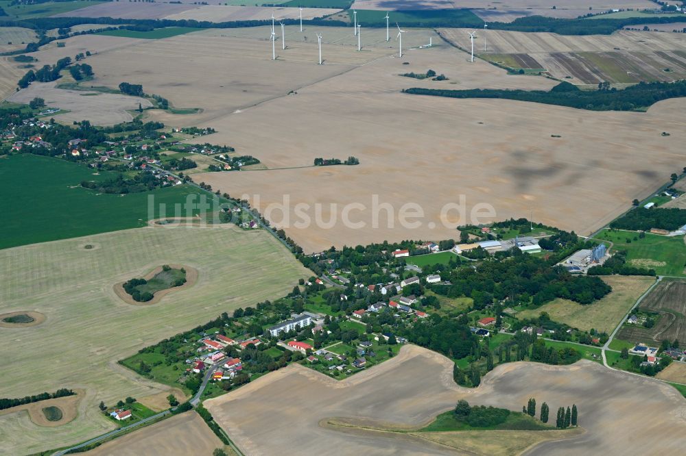 Sarow von oben - Dorfkern am Feldrand in Sarow im Bundesland Mecklenburg-Vorpommern, Deutschland