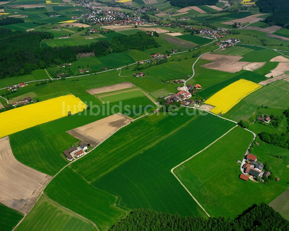 Luftaufnahme Sarzen - Dorfkern am Feldrand in Sarzen im Bundesland Bayern, Deutschland