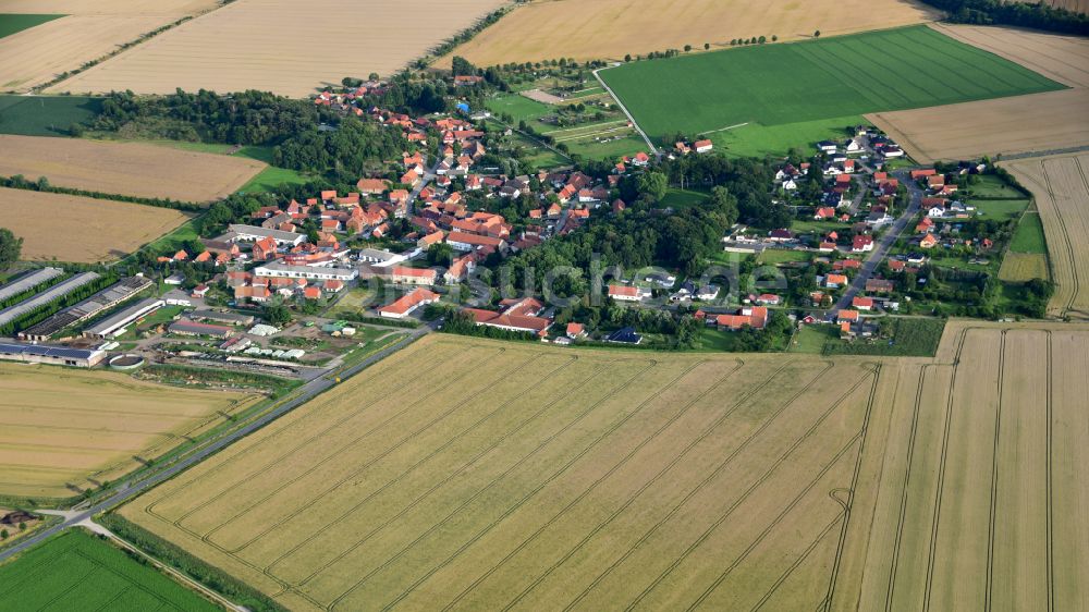 Luftaufnahme Schauen - Dorfkern am Feldrand in Schauen im Bundesland Sachsen-Anhalt, Deutschland