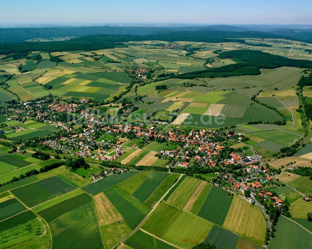 Luftaufnahme Scheden - Dorfkern am Feldrand in Scheden im Bundesland Niedersachsen, Deutschland