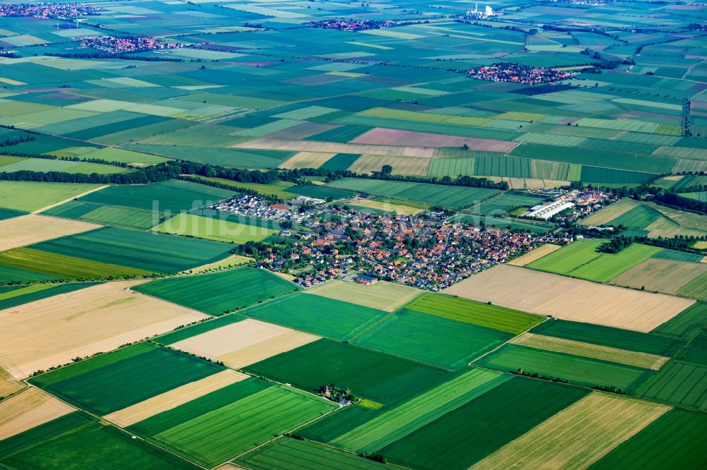 Schellerten aus der Vogelperspektive: Dorfkern am Feldrand in Schellerten im Bundesland Niedersachsen, Deutschland