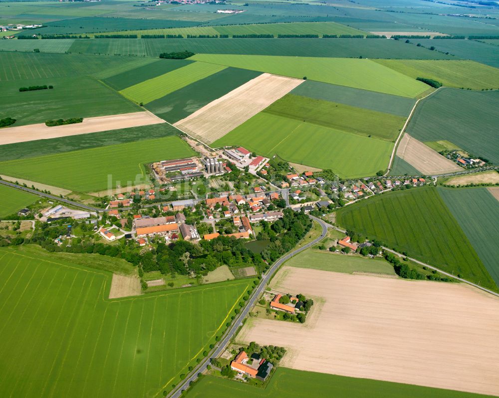 Luftbild Schmatzfeld - Dorfkern am Feldrand in Schmatzfeld im Bundesland Sachsen-Anhalt, Deutschland