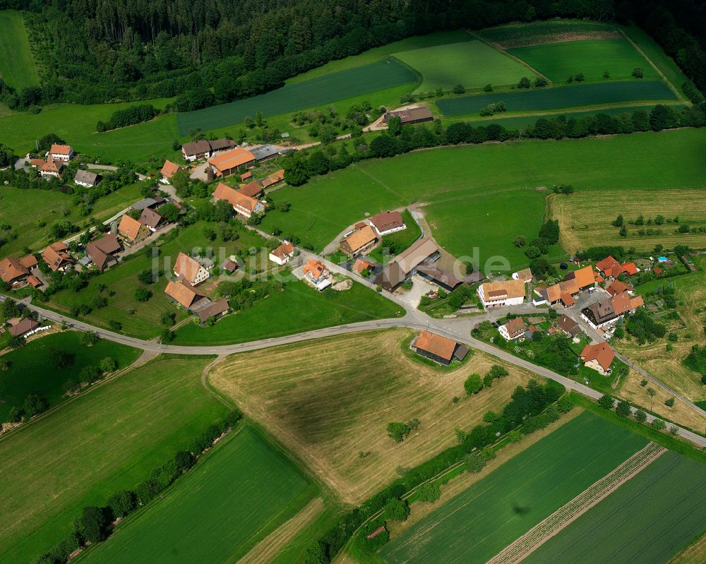 Schmieh aus der Vogelperspektive: Dorfkern am Feldrand in Schmieh im Bundesland Baden-Württemberg, Deutschland