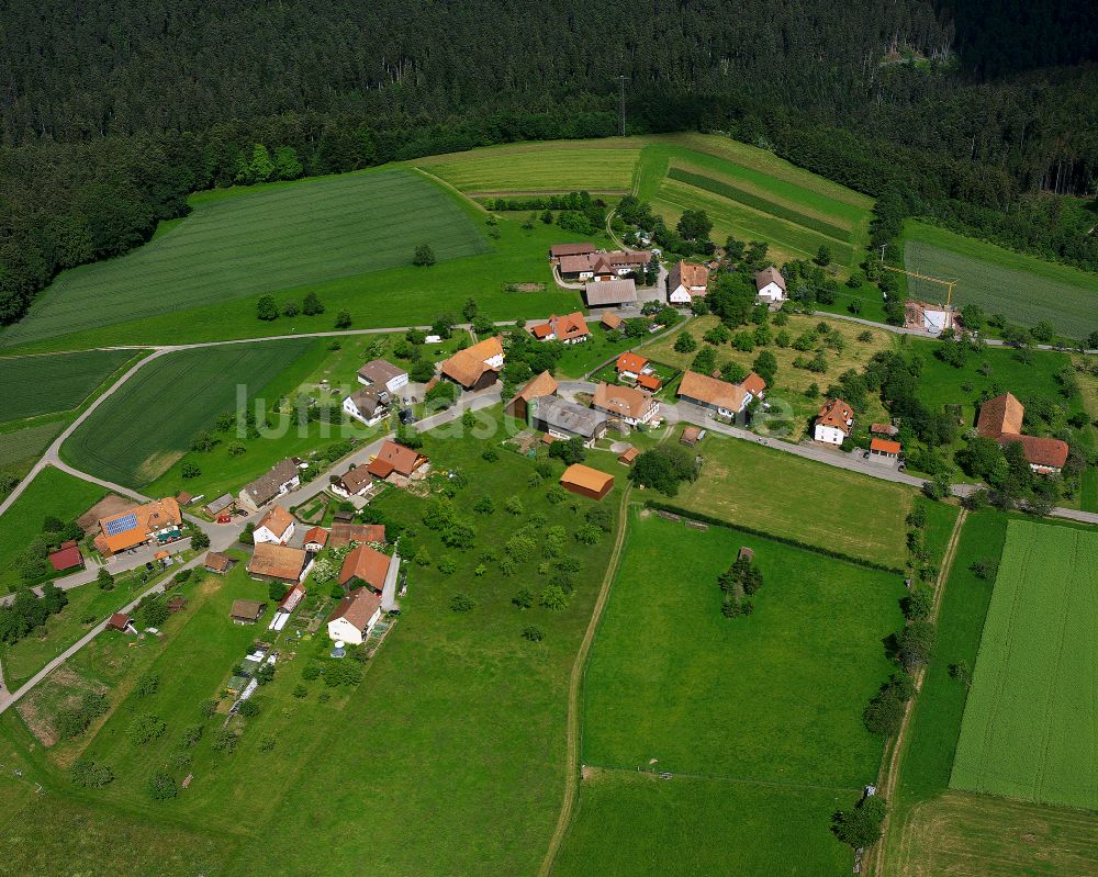 Luftaufnahme Schmieh - Dorfkern am Feldrand in Schmieh im Bundesland Baden-Württemberg, Deutschland