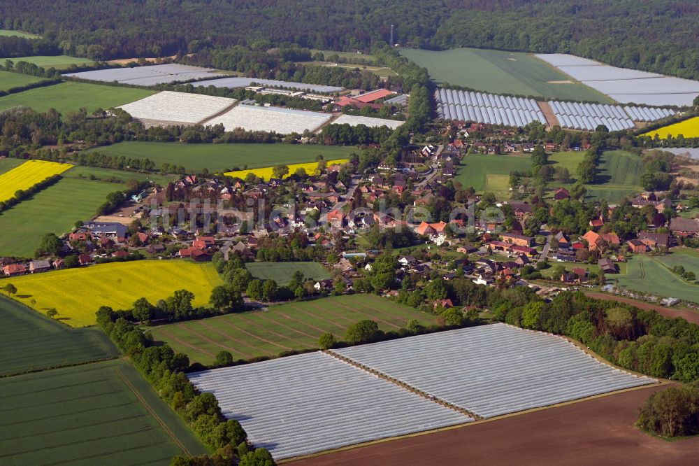 Schmilau aus der Vogelperspektive: Dorfkern am Feldrand in Schmilau im Bundesland Schleswig-Holstein, Deutschland