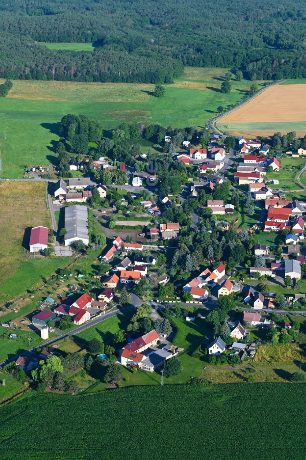 Schöna aus der Vogelperspektive: Dorfkern am Feldrand in Schöna im Bundesland Sachsen, Deutschland