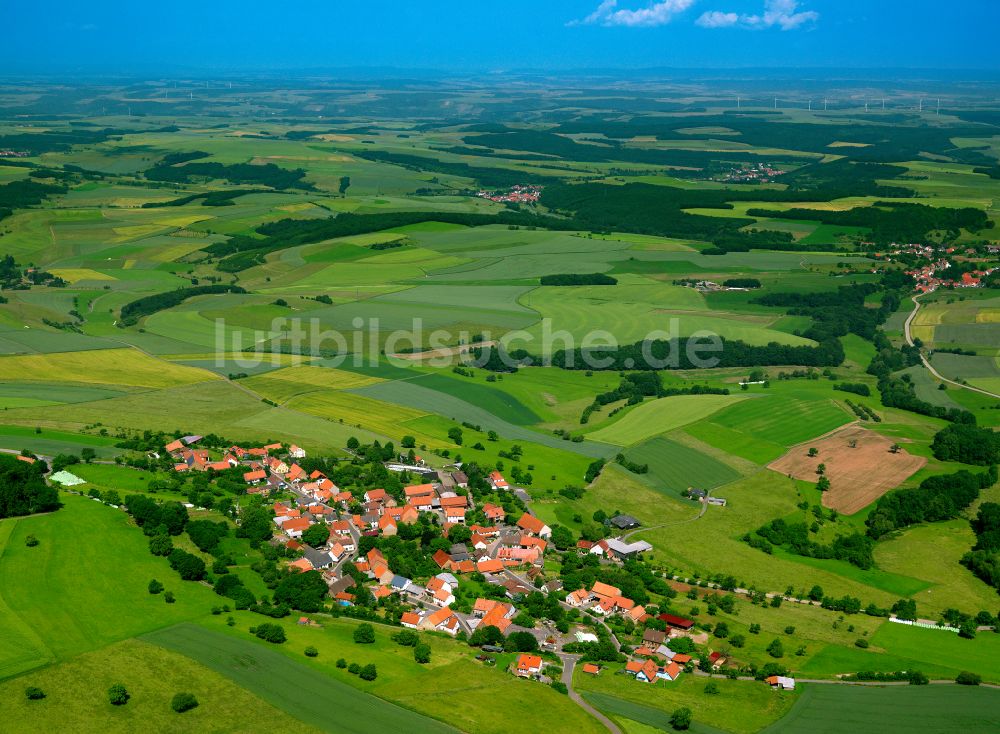 Luftaufnahme Schönborn - Dorfkern am Feldrand in Schönborn im Bundesland Rheinland-Pfalz, Deutschland