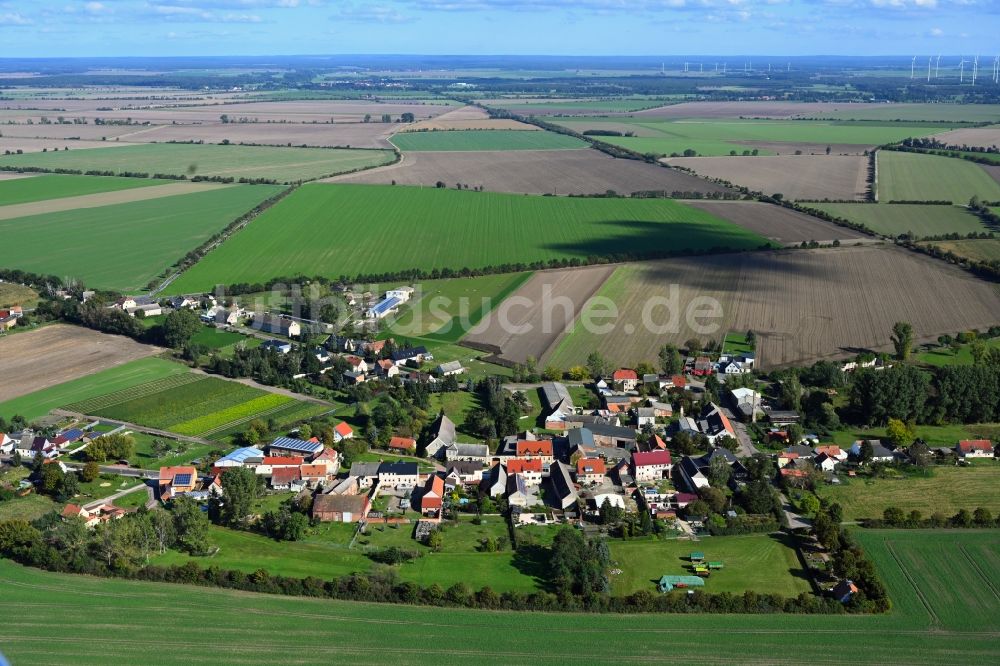 Schora von oben - Dorfkern am Feldrand in Schora im Bundesland Sachsen-Anhalt, Deutschland