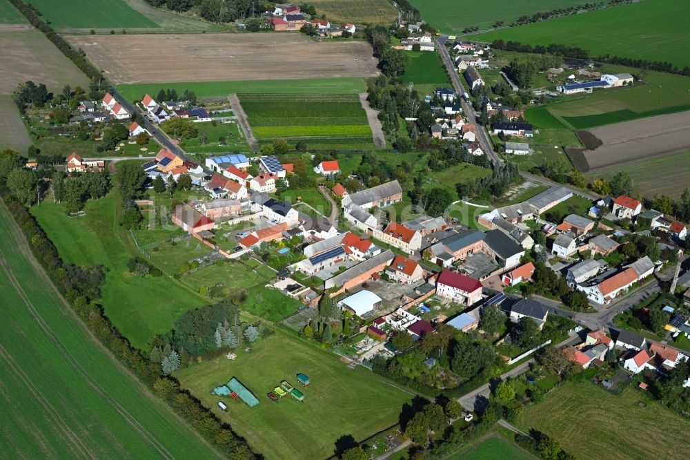 Schora aus der Vogelperspektive: Dorfkern am Feldrand in Schora im Bundesland Sachsen-Anhalt, Deutschland