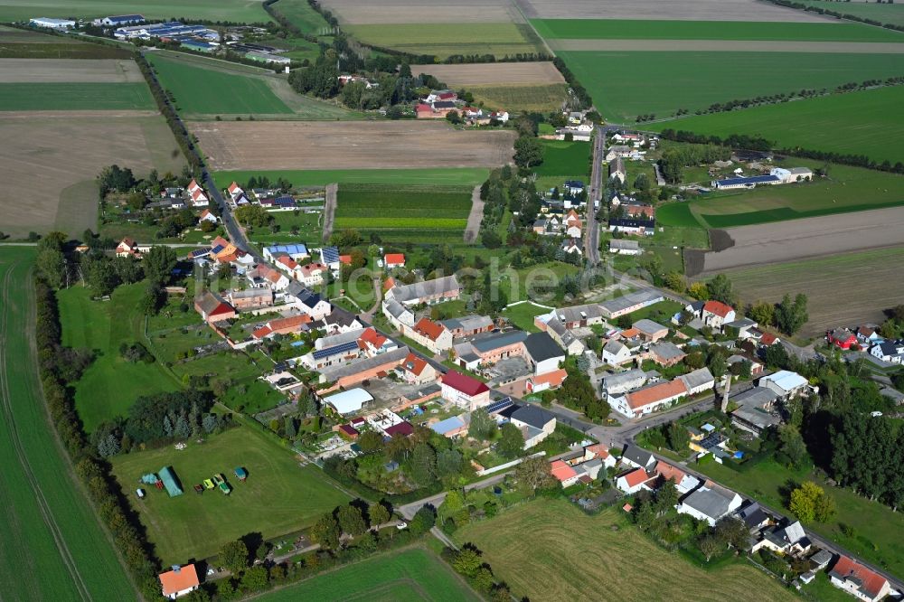 Luftbild Schora - Dorfkern am Feldrand in Schora im Bundesland Sachsen-Anhalt, Deutschland