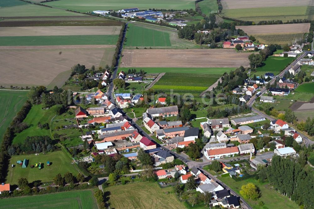 Luftaufnahme Schora - Dorfkern am Feldrand in Schora im Bundesland Sachsen-Anhalt, Deutschland