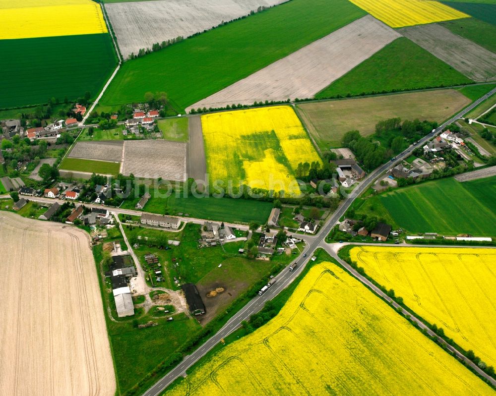 Schora aus der Vogelperspektive: Dorfkern am Feldrand in Schora im Bundesland Sachsen-Anhalt, Deutschland