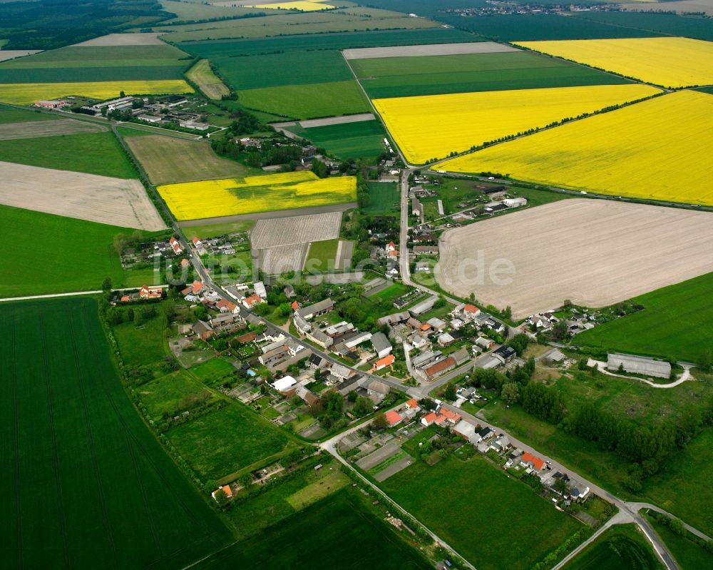 Luftbild Schora - Dorfkern am Feldrand in Schora im Bundesland Sachsen-Anhalt, Deutschland