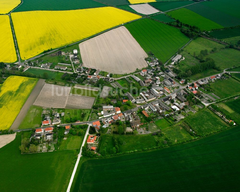 Luftaufnahme Schora - Dorfkern am Feldrand in Schora im Bundesland Sachsen-Anhalt, Deutschland