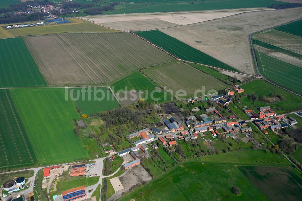 Luftbild Schäplitz - Dorfkern am Feldrand in Schäplitz im Bundesland Sachsen-Anhalt, Deutschland