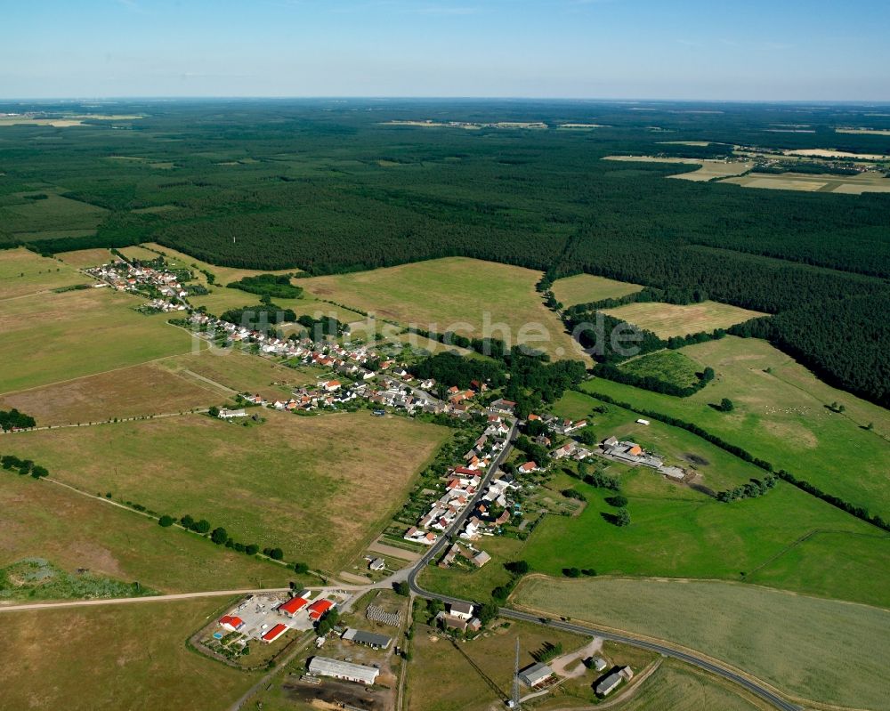 Luftbild Schweinitz - Dorfkern am Feldrand in Schweinitz im Bundesland Sachsen-Anhalt, Deutschland