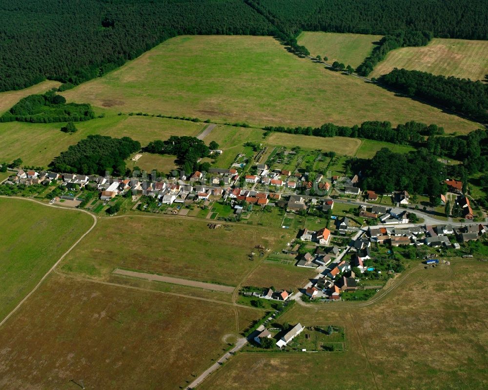 Luftaufnahme Schweinitz - Dorfkern am Feldrand in Schweinitz im Bundesland Sachsen-Anhalt, Deutschland