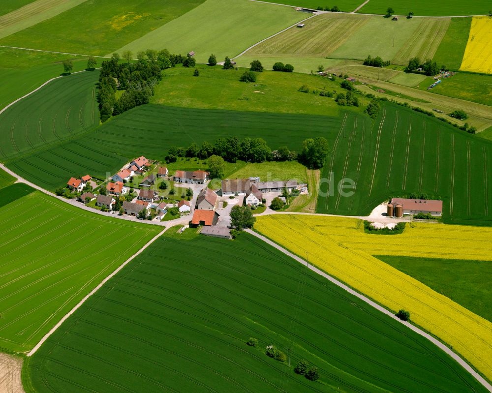 Seekirch von oben - Dorfkern am Feldrand in Seekirch im Bundesland Baden-Württemberg, Deutschland