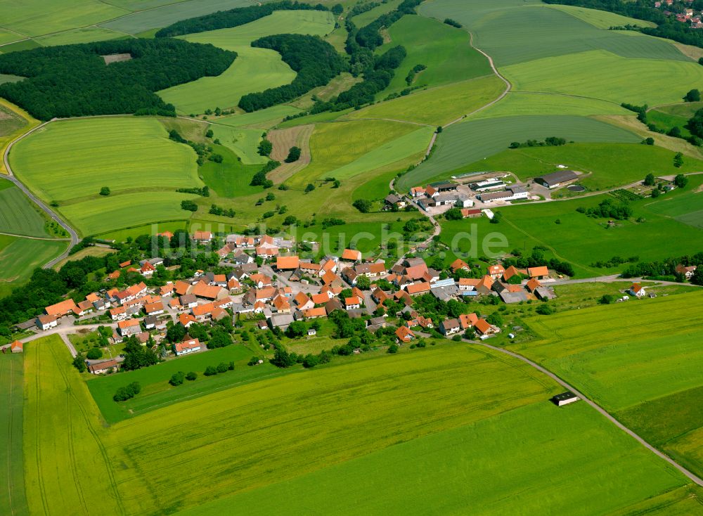 Seelen aus der Vogelperspektive: Dorfkern am Feldrand in Seelen im Bundesland Rheinland-Pfalz, Deutschland