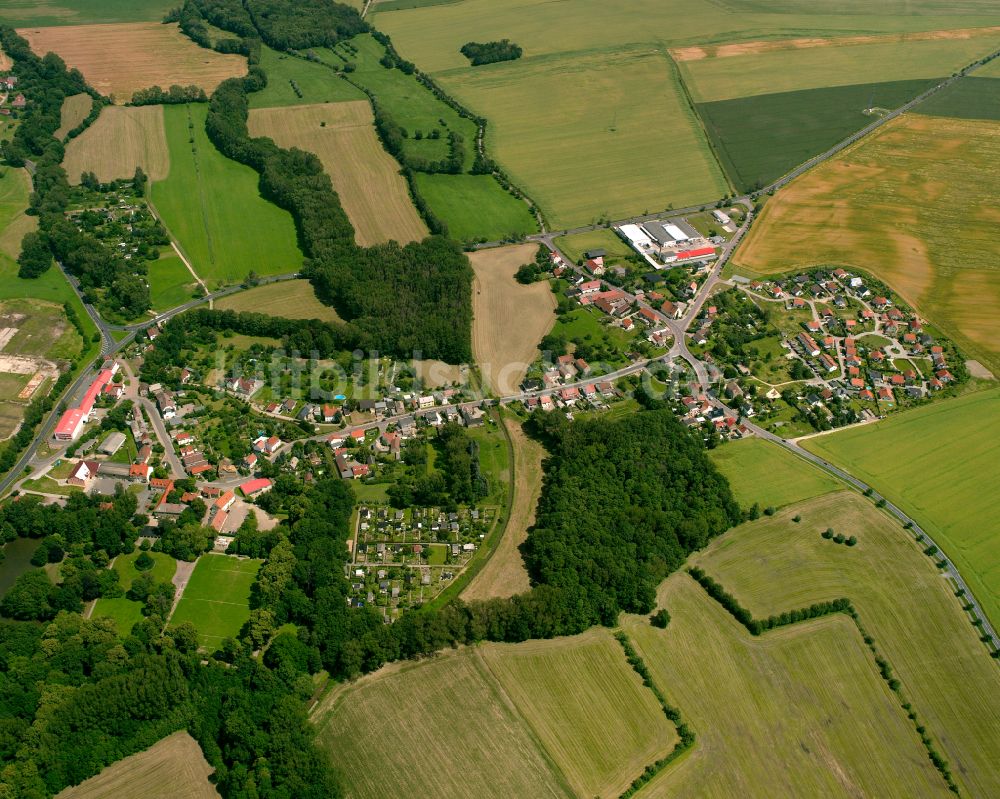 Luftbild Seerhausen - Dorfkern am Feldrand in Seerhausen im Bundesland Sachsen, Deutschland