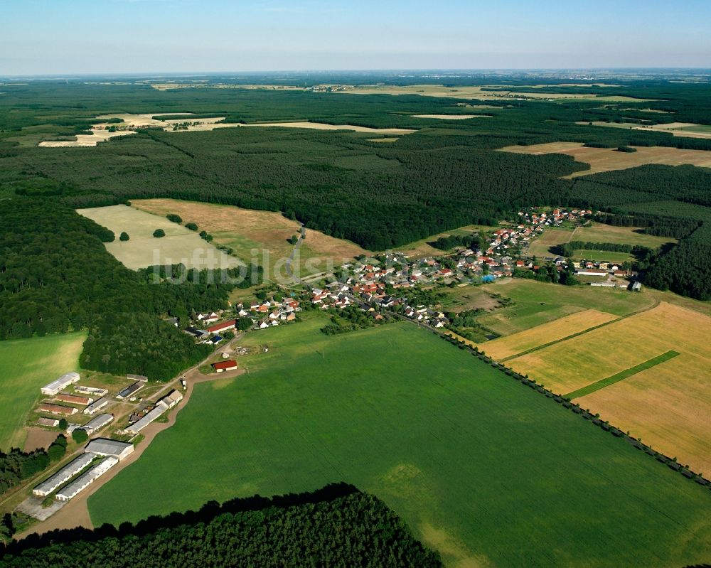 Serno von oben - Dorfkern am Feldrand in Serno im Bundesland Sachsen-Anhalt, Deutschland