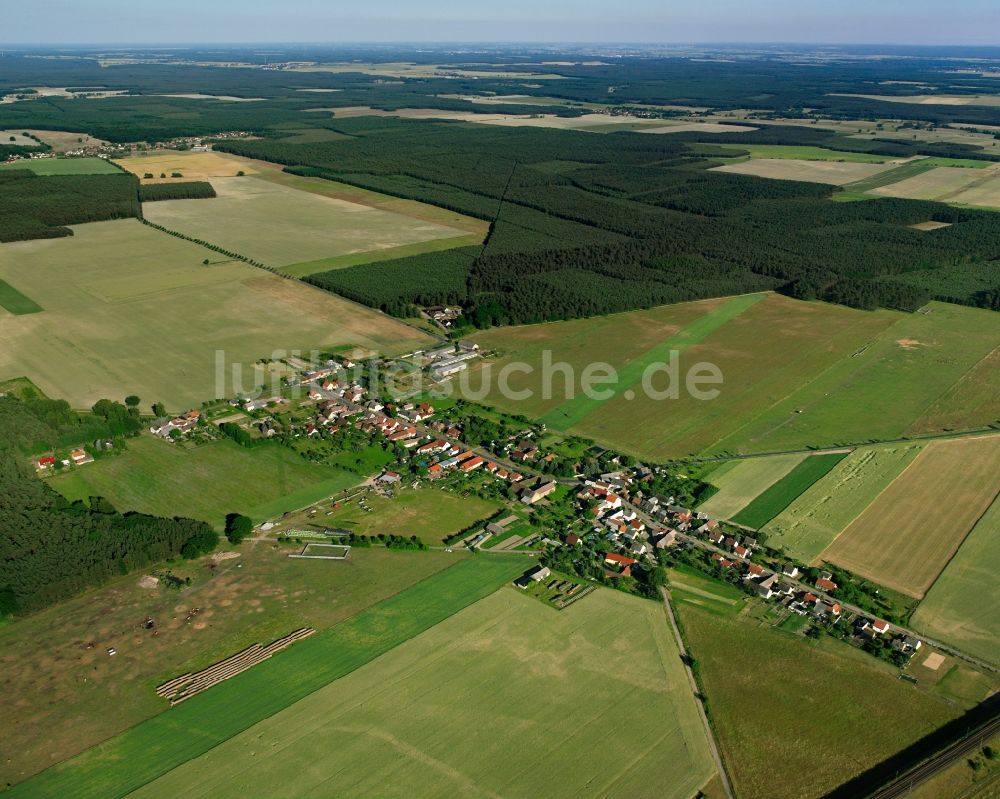 Stackelitz aus der Vogelperspektive: Dorfkern am Feldrand in Stackelitz im Bundesland Sachsen-Anhalt, Deutschland