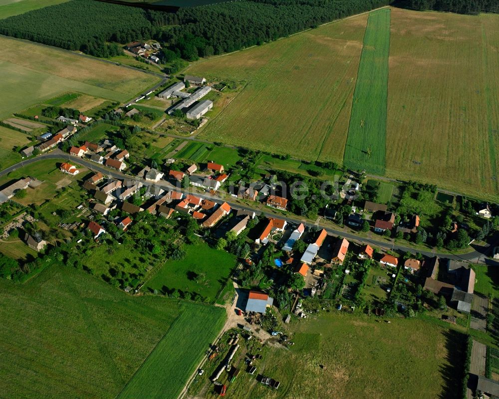 Luftaufnahme Stackelitz - Dorfkern am Feldrand in Stackelitz im Bundesland Sachsen-Anhalt, Deutschland