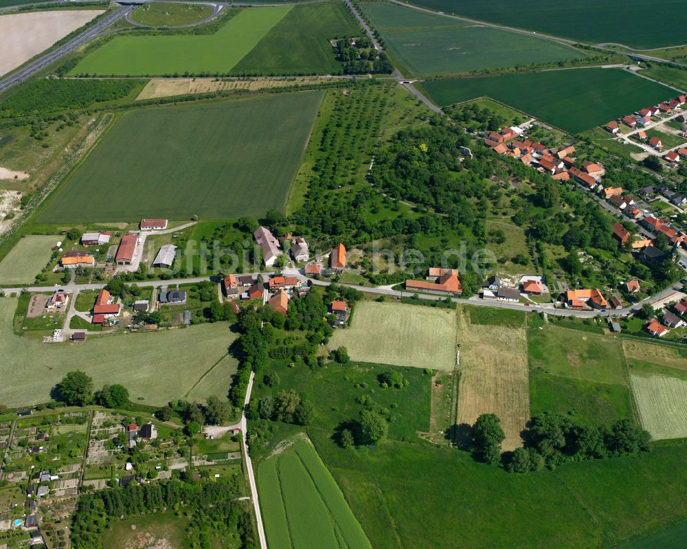 Luftbild Stapelburg - Dorfkern am Feldrand in Stapelburg im Bundesland Sachsen-Anhalt, Deutschland