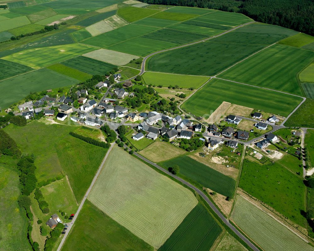 Luftbild Steinbach - Dorfkern am Feldrand in Steinbach im Bundesland Rheinland-Pfalz, Deutschland