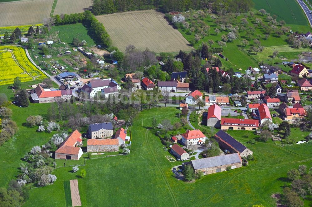 Steindörfel aus der Vogelperspektive: Dorfkern am Feldrand in Steindörfel im Bundesland Sachsen, Deutschland