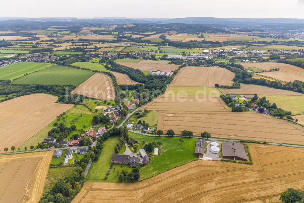 Luftaufnahme Stentrop - Dorfkern am Feldrand in Stentrop im Bundesland Nordrhein-Westfalen, Deutschland