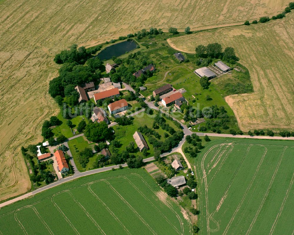 Steudten aus der Vogelperspektive: Dorfkern am Feldrand in Steudten im Bundesland Sachsen, Deutschland