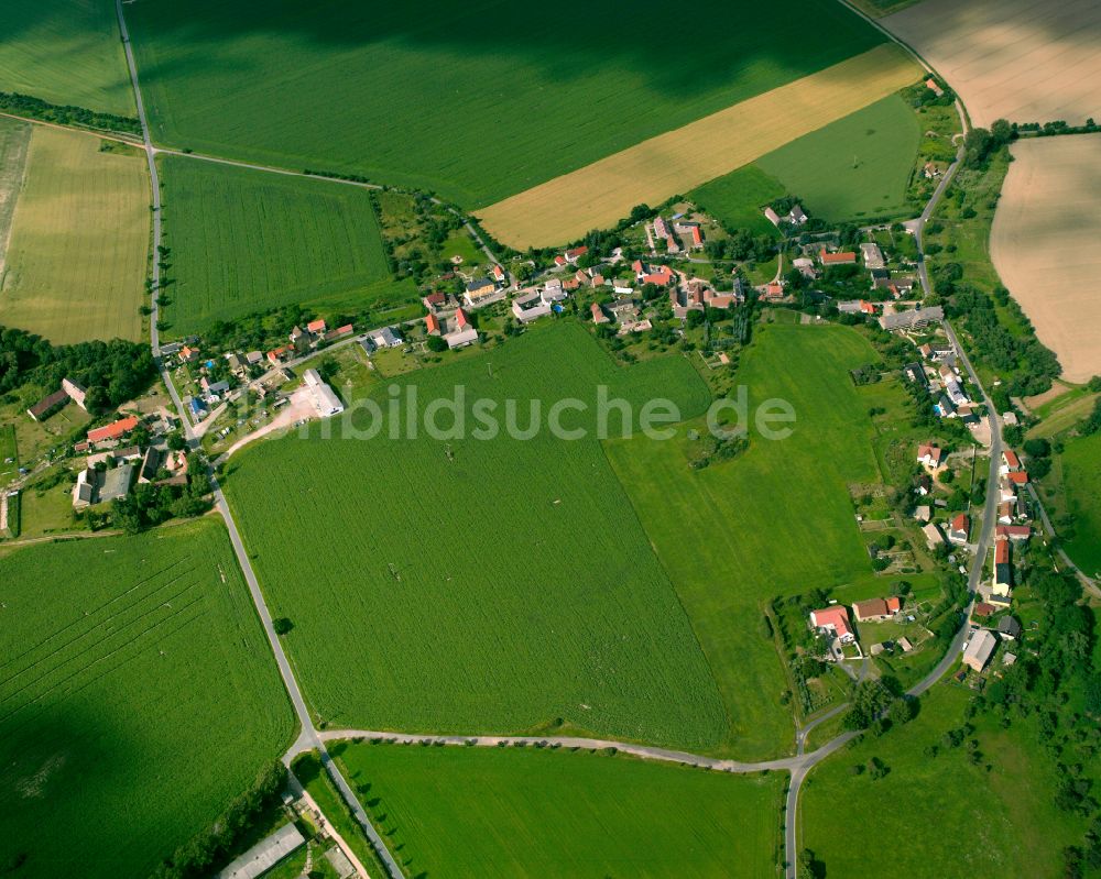 Strehla aus der Vogelperspektive: Dorfkern am Feldrand in Strehla im Bundesland Sachsen, Deutschland