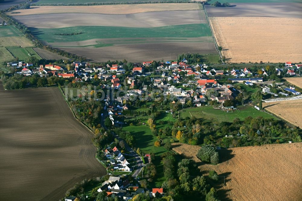 Luftbild Strenznaundorf - Dorfkern am Feldrand in Strenznaundorf im Bundesland Sachsen-Anhalt, Deutschland