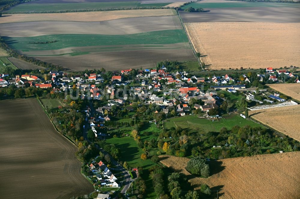 Luftaufnahme Strenznaundorf - Dorfkern am Feldrand in Strenznaundorf im Bundesland Sachsen-Anhalt, Deutschland