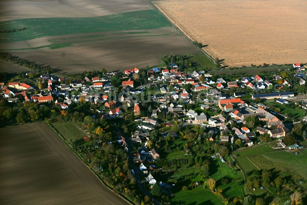 Luftbild Strenznaundorf - Dorfkern am Feldrand in Strenznaundorf im Bundesland Sachsen-Anhalt, Deutschland