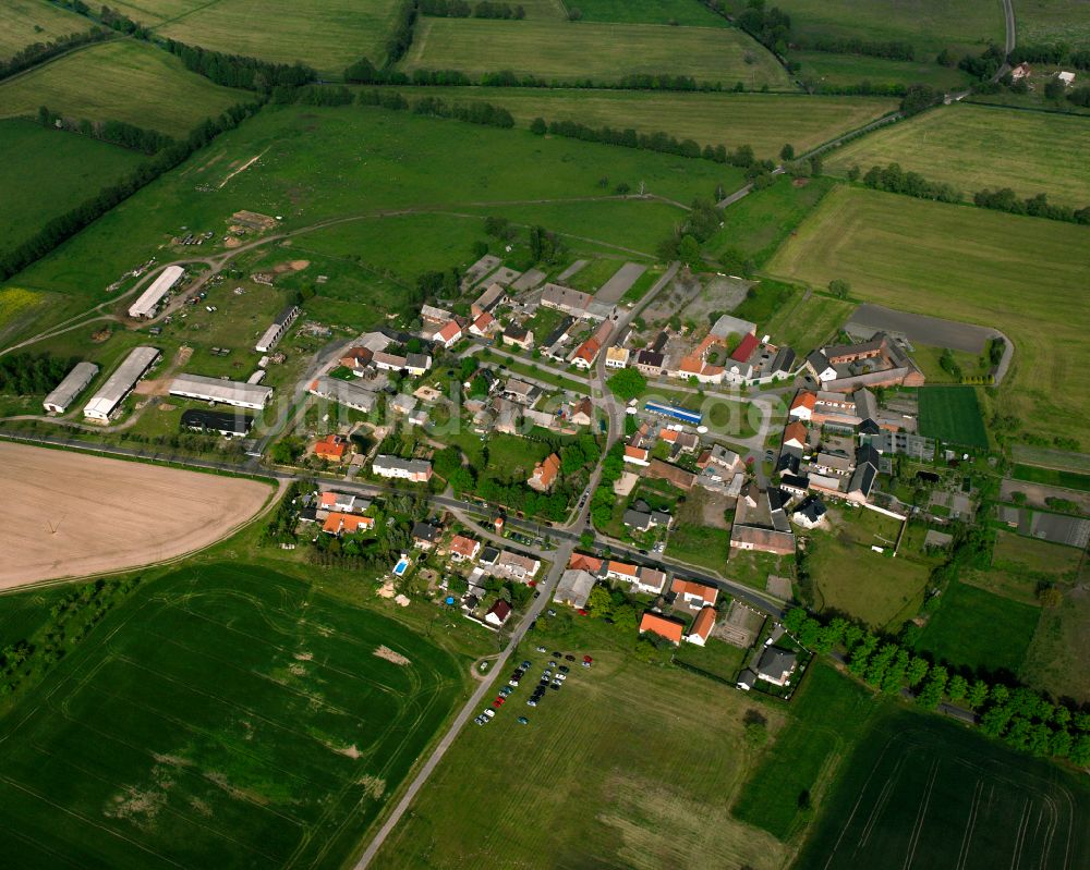 Luftbild Strinum - Dorfkern am Feldrand in Strinum im Bundesland Sachsen-Anhalt, Deutschland