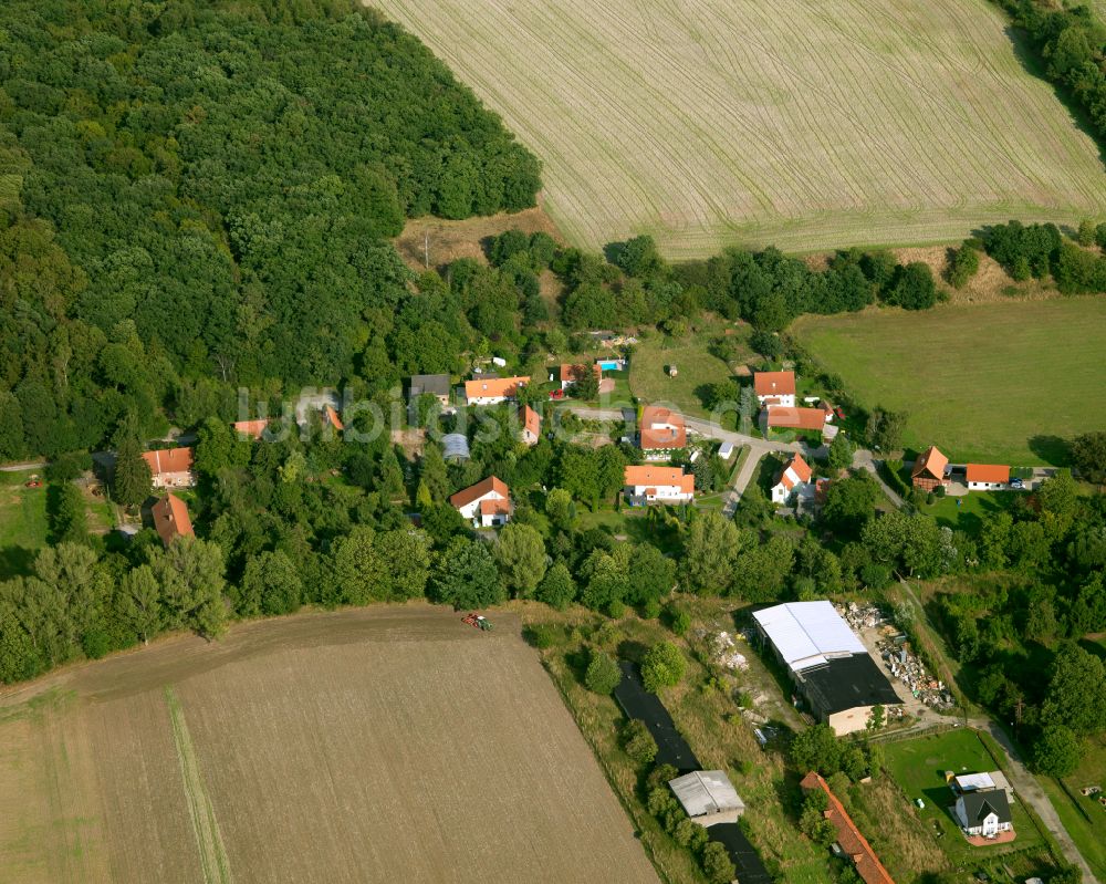 Luftbild Suderode - Dorfkern am Feldrand in Suderode im Bundesland Sachsen-Anhalt, Deutschland