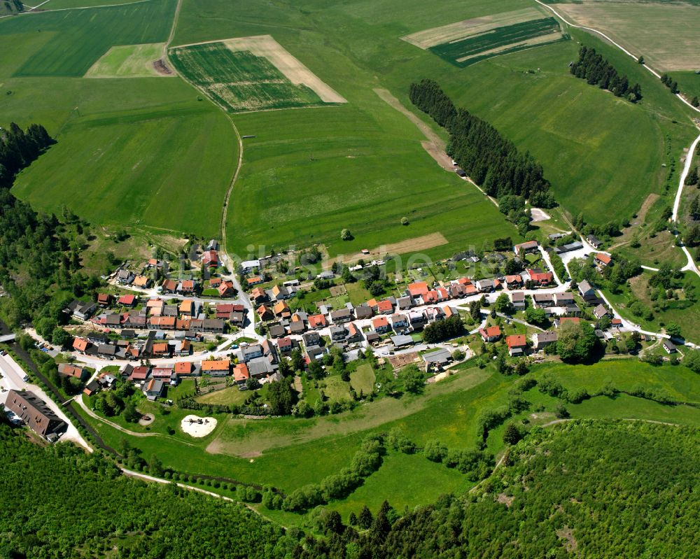 Trautenstein von oben - Dorfkern am Feldrand in Trautenstein im Bundesland Sachsen-Anhalt, Deutschland