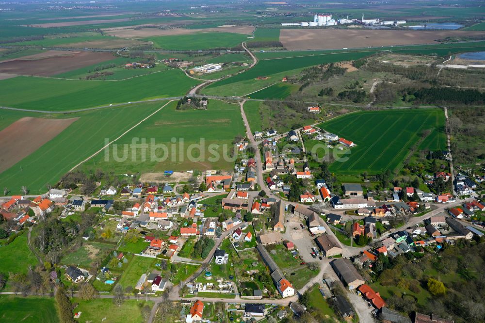 Luftaufnahme Trebnitz - Dorfkern am Feldrand in Trebnitz im Bundesland Sachsen-Anhalt, Deutschland