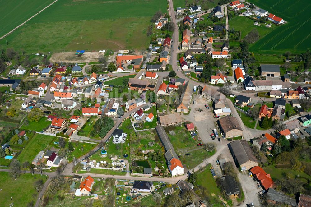 Trebnitz von oben - Dorfkern am Feldrand in Trebnitz im Bundesland Sachsen-Anhalt, Deutschland