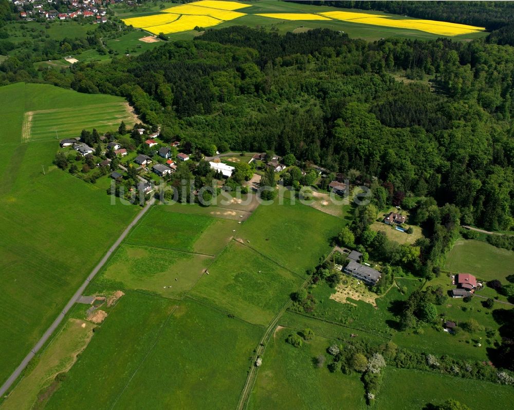 Treis aus der Vogelperspektive: Dorfkern am Feldrand in Treis im Bundesland Hessen, Deutschland