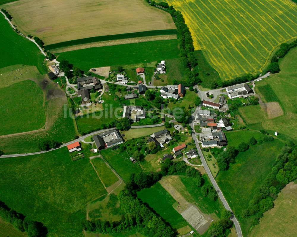 Tremnitz von oben - Dorfkern am Feldrand in Tremnitz im Bundesland Thüringen, Deutschland