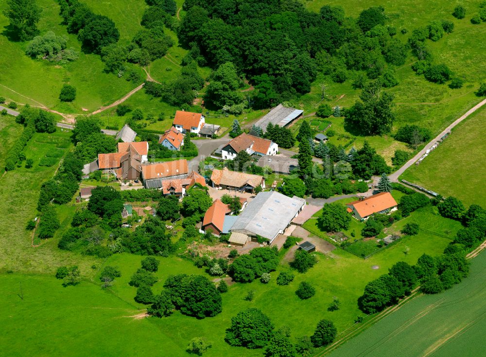 Wackenbornerhof aus der Vogelperspektive: Dorfkern am Feldrand in Wackenbornerhof im Bundesland Rheinland-Pfalz, Deutschland