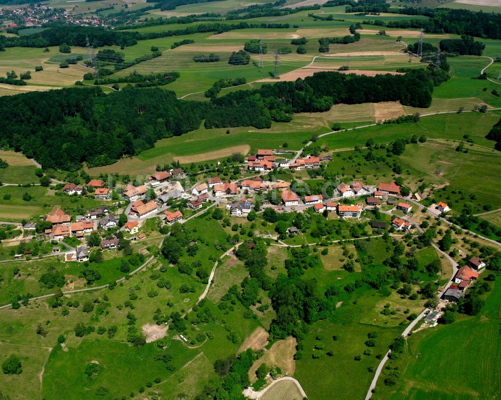 Waldshut-Tiengen von oben - Dorfkern am Feldrand in Waldshut-Tiengen im Bundesland Baden-Württemberg, Deutschland