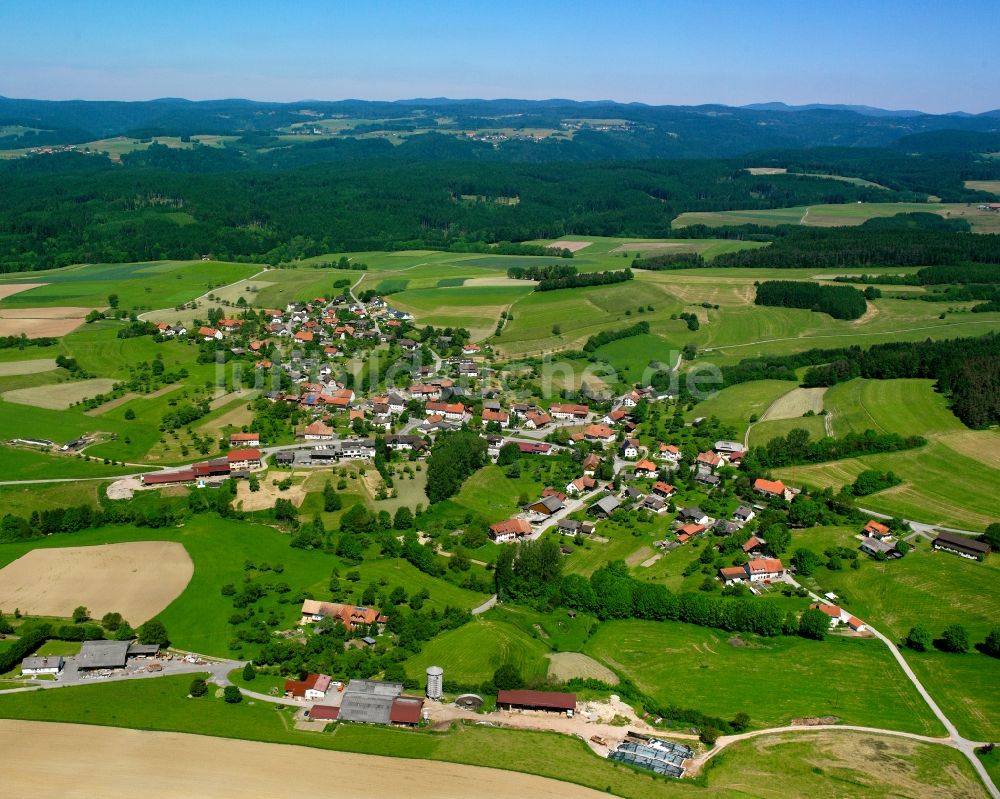 Waldshut-Tiengen aus der Vogelperspektive: Dorfkern am Feldrand in Waldshut-Tiengen im Bundesland Baden-Württemberg, Deutschland